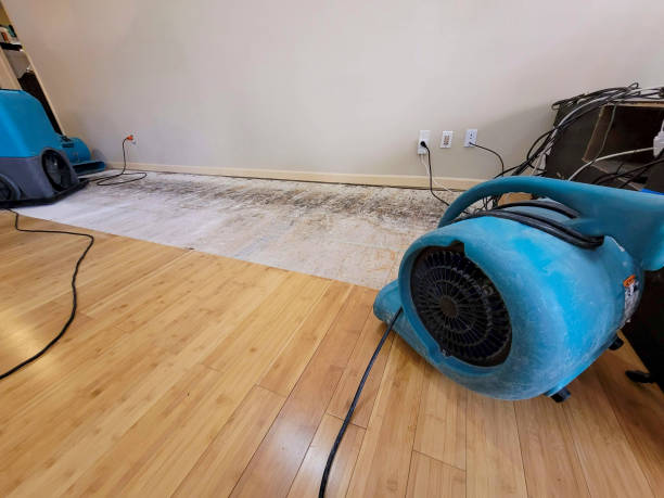 Professional Burst Pipe Water Damage technician working in Oakfield, WI